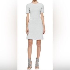 Theory Abreena Pullover Mini Dress